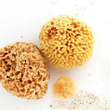 Load image into Gallery viewer, Natural Sea Sponge - Zero Waste Organic Sponge - Plastic Free Biodegradable Bath Sponge