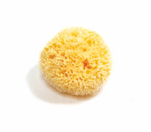 Load image into Gallery viewer, Natural Sea Sponge - Zero Waste Organic Sponge - Plastic Free Biodegradable Bath Sponge