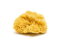 Load image into Gallery viewer, Natural Sea Sponge - Zero Waste Organic Sponge - Plastic Free Biodegradable Bath Sponge