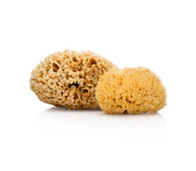 Load image into Gallery viewer, Natural Sea Sponge - Zero Waste Organic Sponge - Plastic Free Biodegradable Bath Sponge