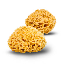 Load image into Gallery viewer, Natural Sea Sponge - Zero Waste Organic Sponge - Plastic Free Biodegradable Bath Sponge