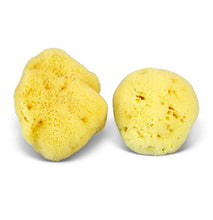 Load image into Gallery viewer, Natural Sea Sponge - Zero Waste Organic Sponge - Plastic Free Biodegradable Bath Sponge