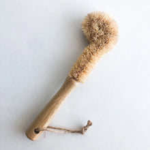 Load image into Gallery viewer, Natural Bamboo Coconut Glass Brush - Organic Plastic Free Biodegradable Coconut Kitchen Brush - Zero Waste Living
