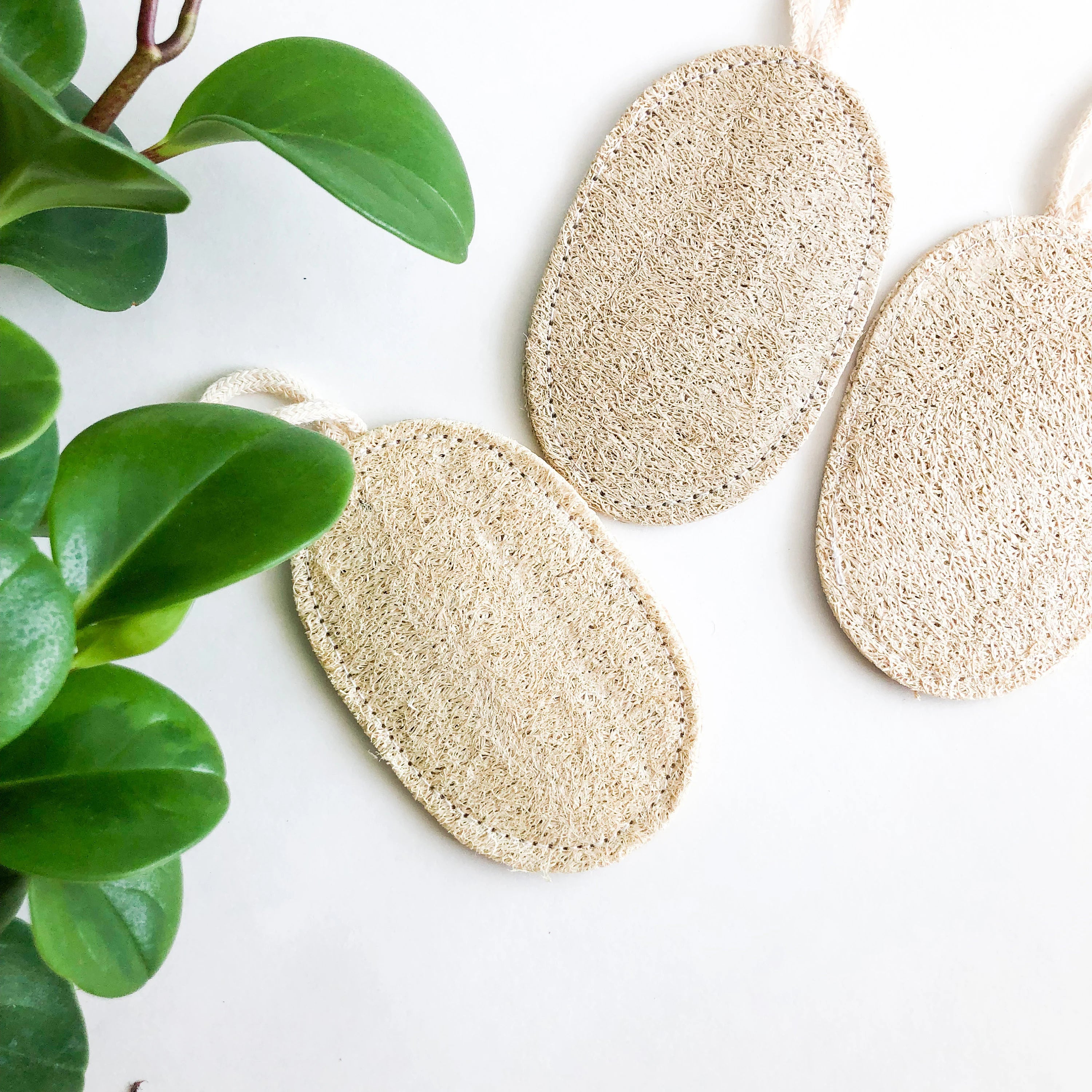 Natural Loofah Kitchen Sponge 3 Pcs-Zero Waste Dish Sponge – Smile Boutiques