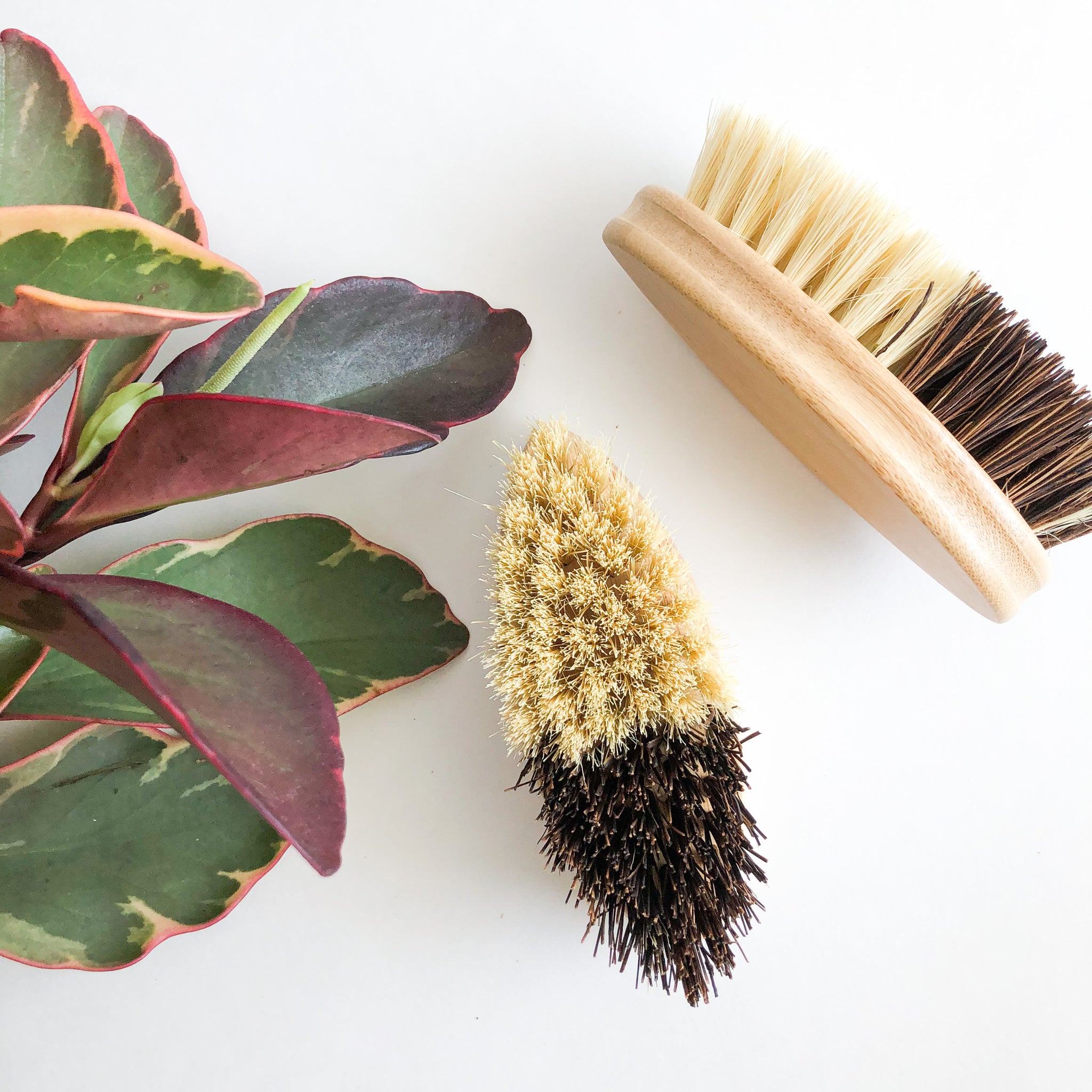 Pot Scrubber, Natural Sisal Scrubbing Brush With Wooden + Ergonomic Ha – Au  Courant Interiors