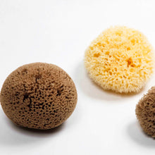 Load image into Gallery viewer, Natural Sea Sponge - Zero Waste Organic Sponge - Plastic Free Biodegradable Bath Sponge
