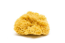 Load image into Gallery viewer, Natural Sea Sponge - Zero Waste Organic Sponge - Plastic Free Biodegradable Bath Sponge
